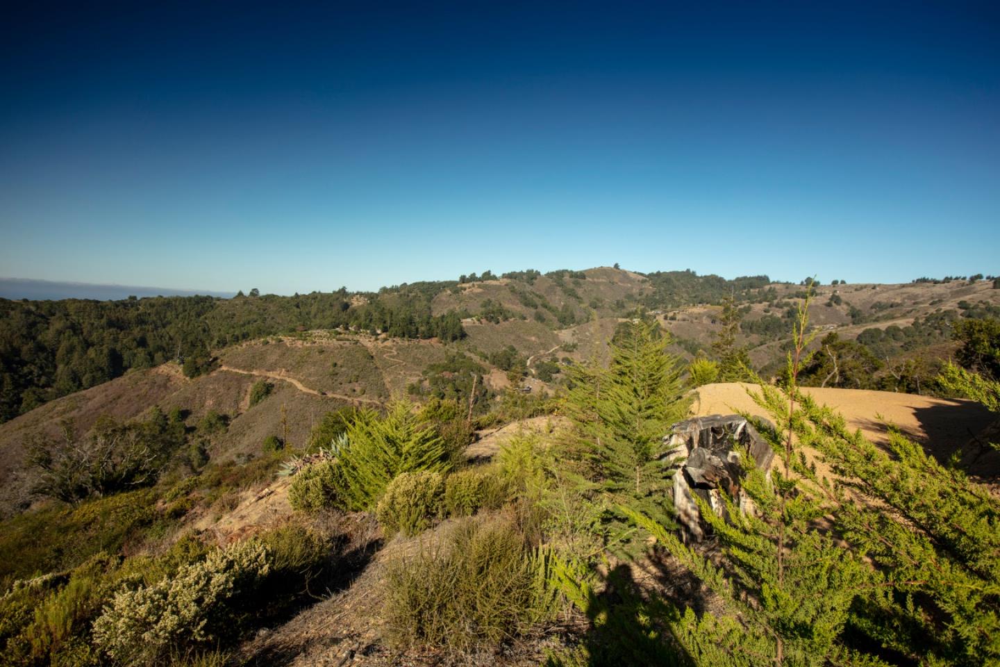 46274 Pfeiffer Ridge Road Big Sur, CA 93920 - Photo 3 of 12 Gallery Image 3