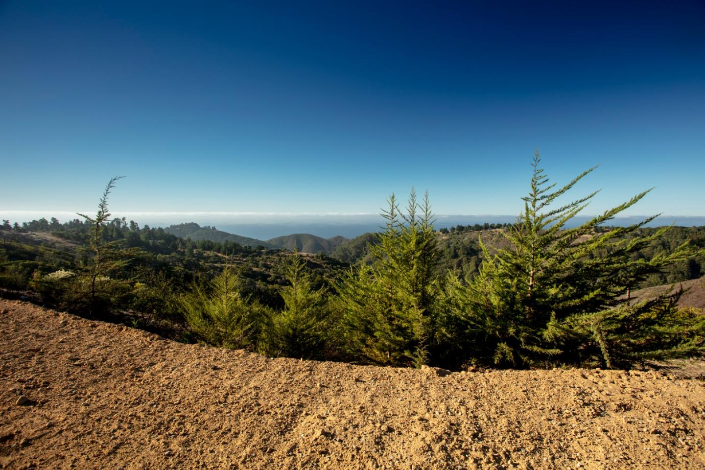 46274 Pfeiffer Ridge Road Big Sur, CA 93920 - Photo 8 of 12 Gallery Image 8