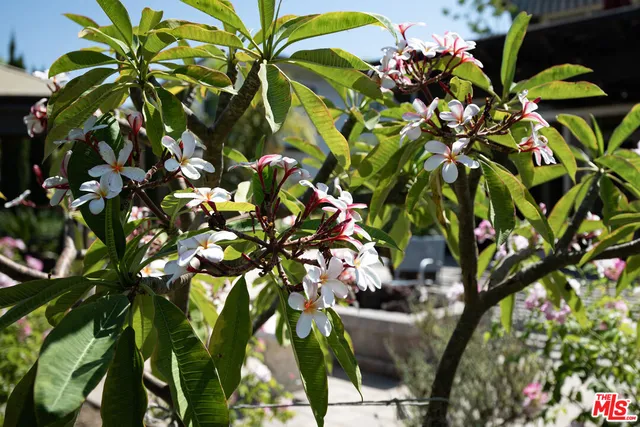 a large kitchen with stainless steel appliances a large counter top a stove a chimney a sink and a large window