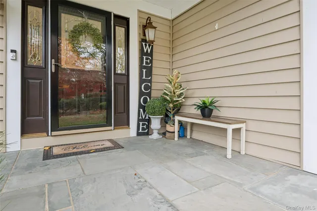 a potted plant sitting in front of a glass door