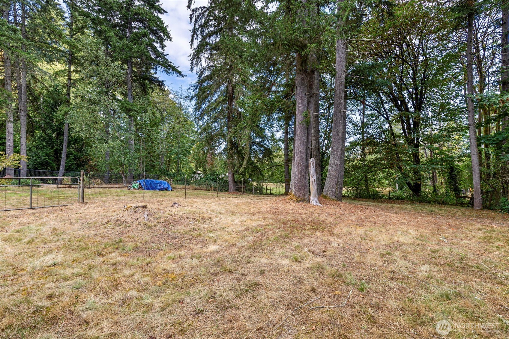 4505 Phillips Road Southeast Port Orchard, WA 98366 - Photo 37 of 39 Gallery Image 37