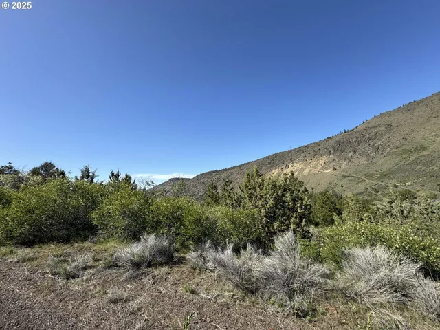a view of a city with lush green forest