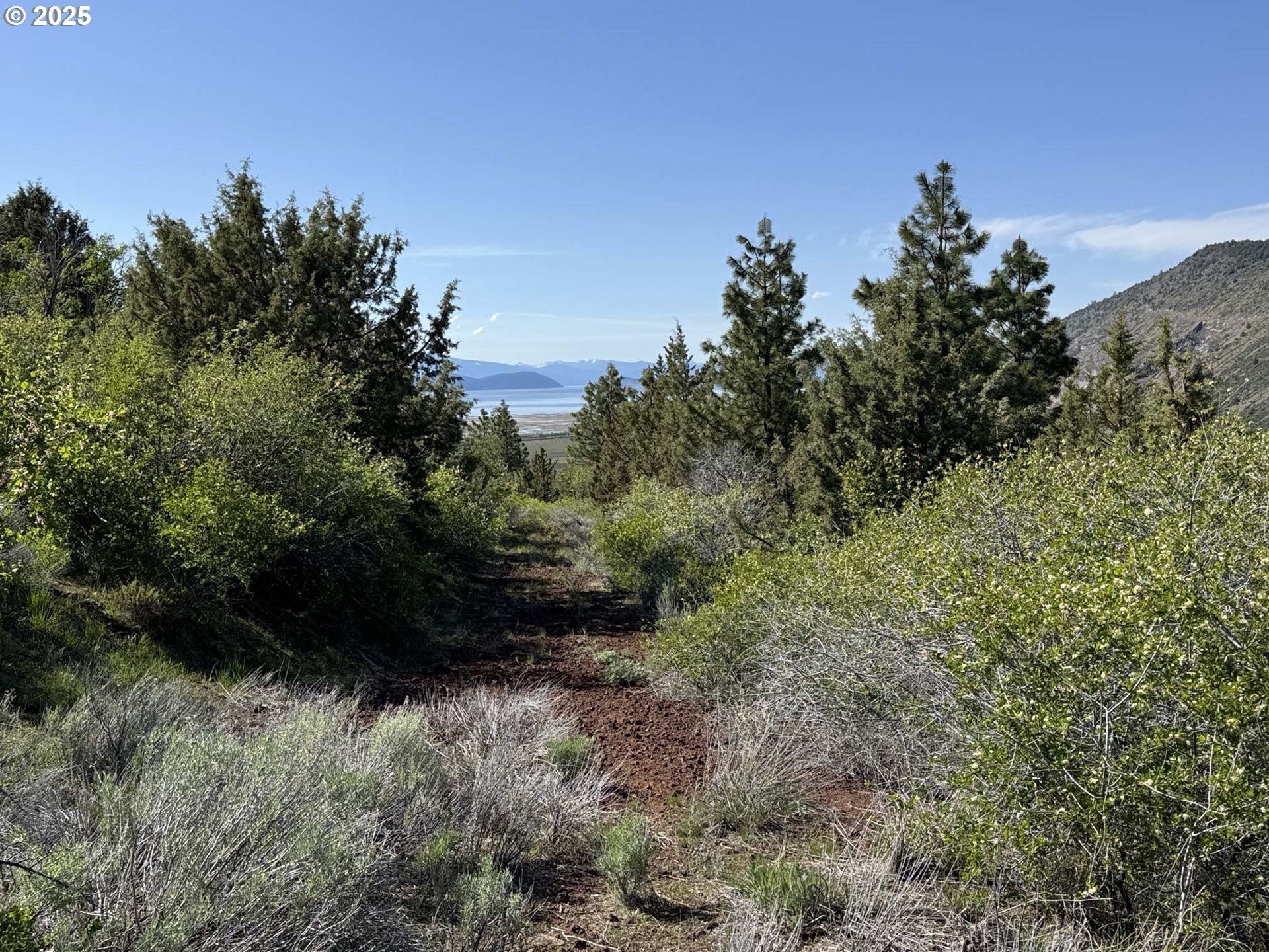 Troubador Trail Klamath Falls, OR 97601 - Photo 18 of 42 a view of a yard