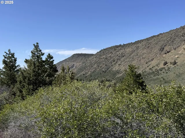 a view of a dry yard with mountains in the background