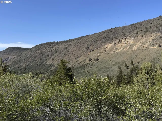 a view of a dry field with trees in the background