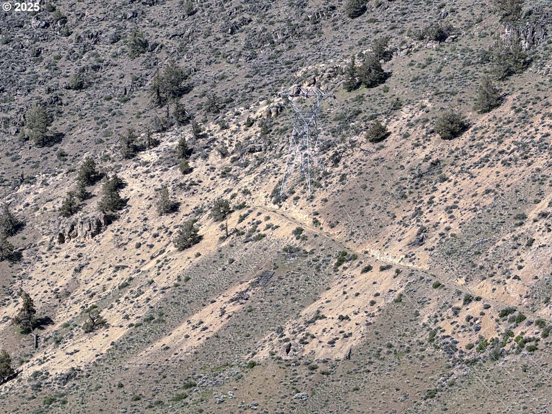 Troubador Trail Klamath Falls, OR 97601 - Photo 22 of 42 a view of a dry field with trees in the background
