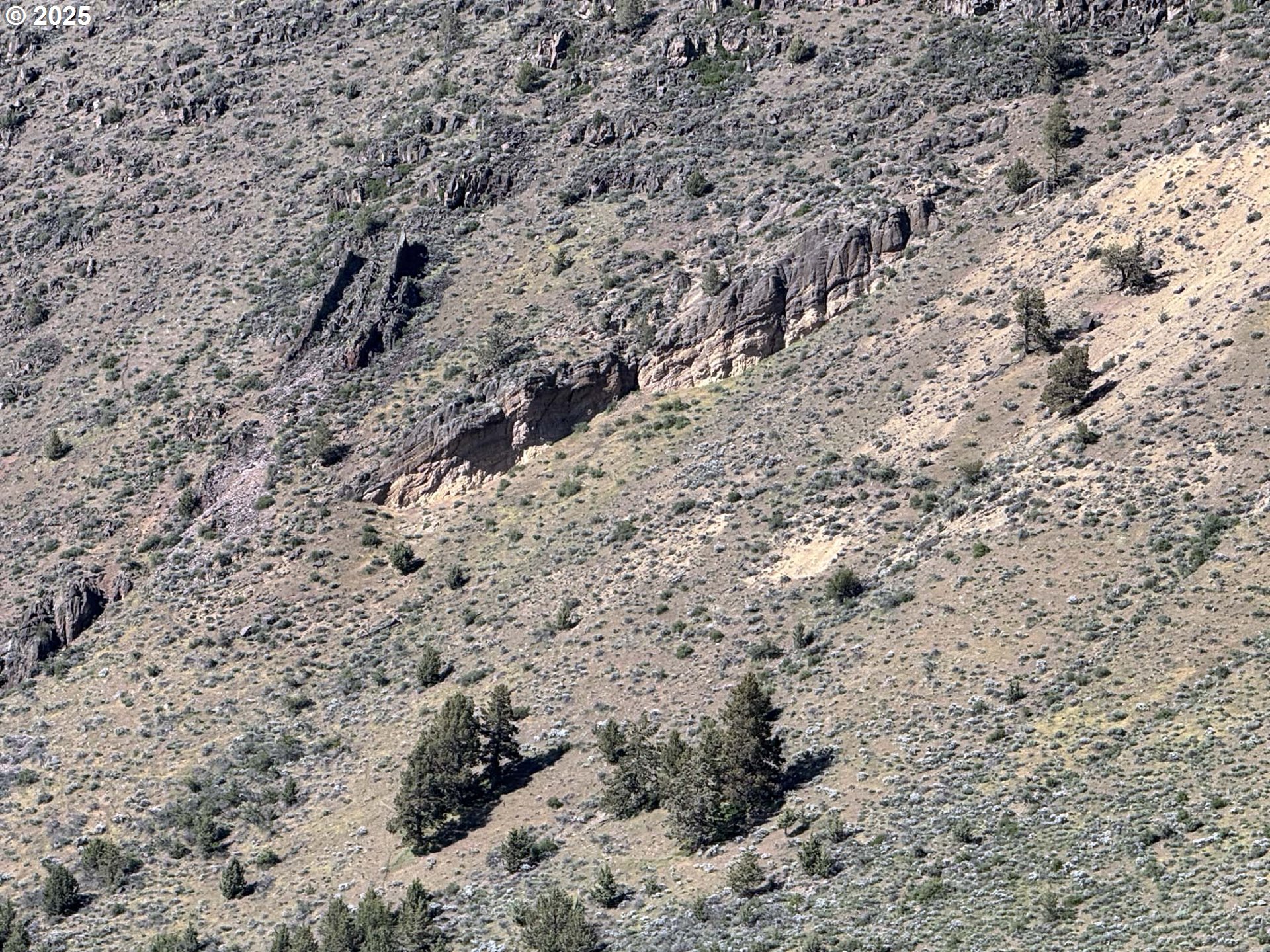 Troubador Trail Klamath Falls, OR 97601 - Photo 23 of 42 a view of a dry yard with lots of trees