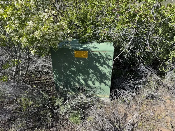 a view of a dry yard with mountains in the background