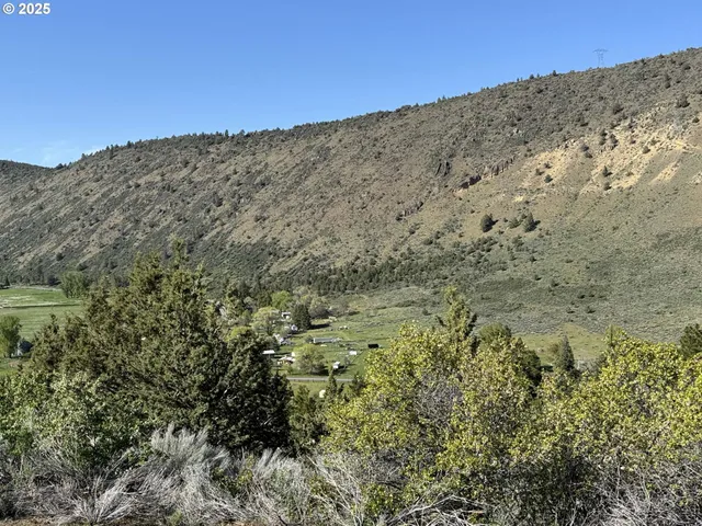 a view of a mountain