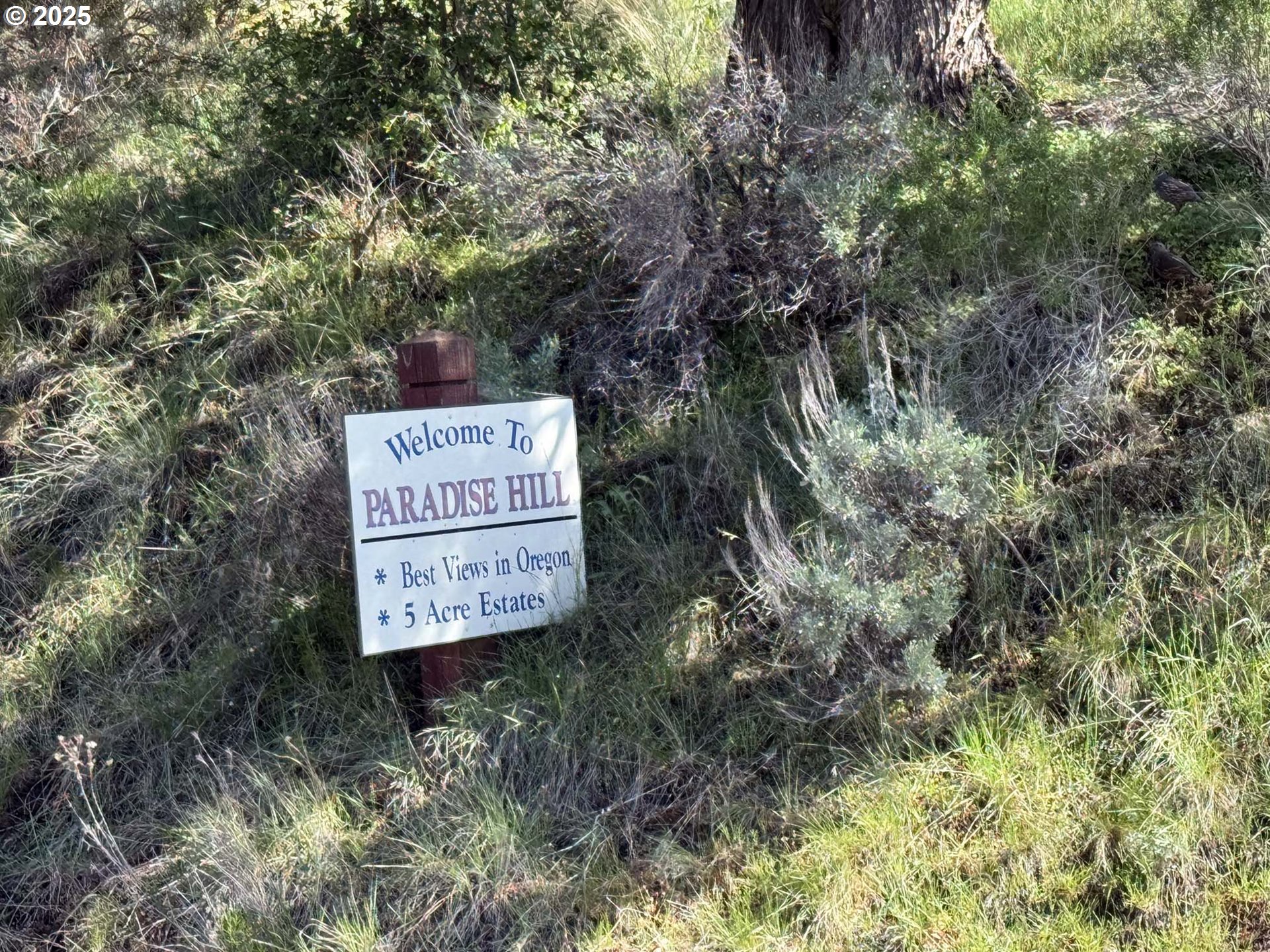 Troubador Trail Klamath Falls, OR 97601 - Photo 39 of 42 a sign on the side of a road
