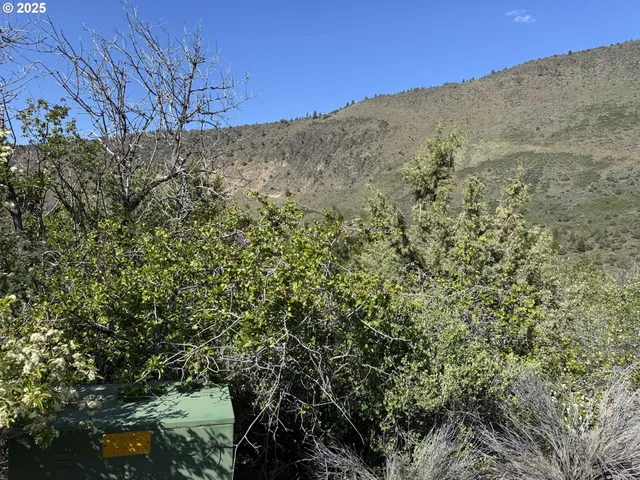 a view of a mountain