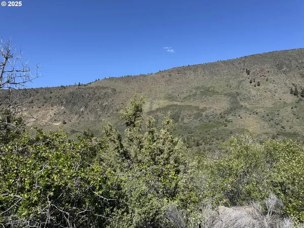 a view of a dry yard with mountains in the background