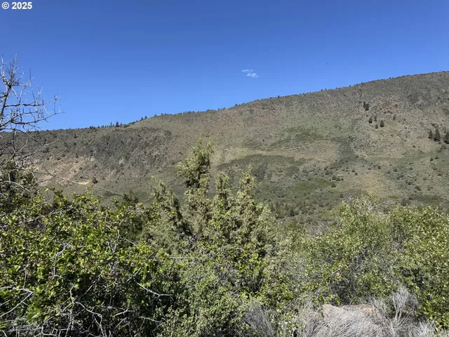 a view of a dry yard with mountains in the background
