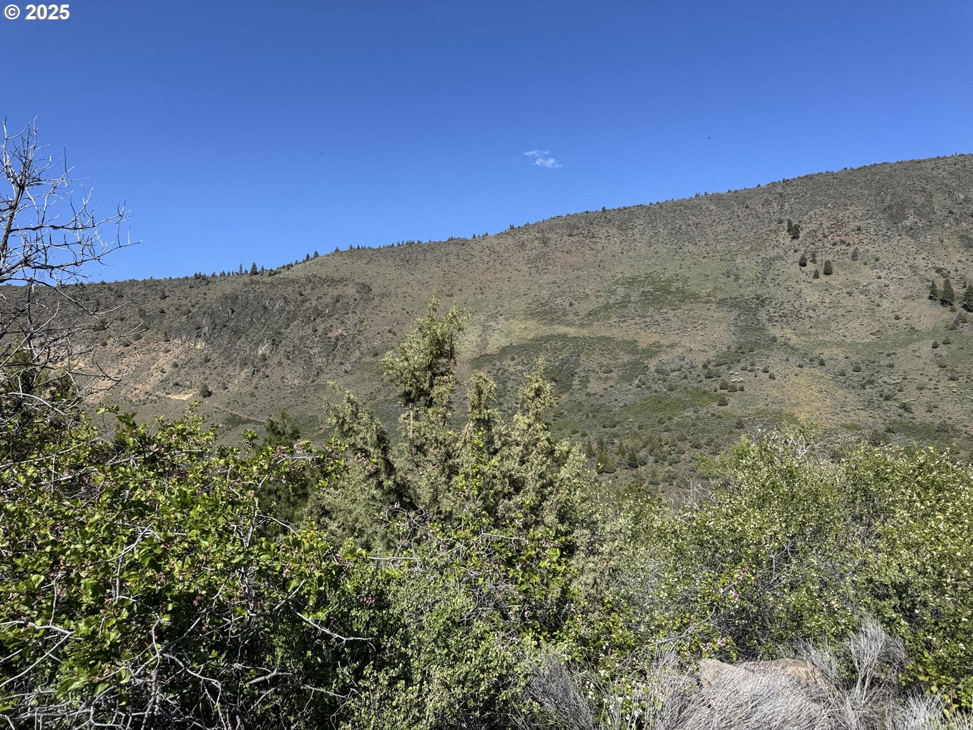 Troubador Trail Klamath Falls, OR 97601 - Photo 6 of 42 a view of a dry yard with mountains in the background