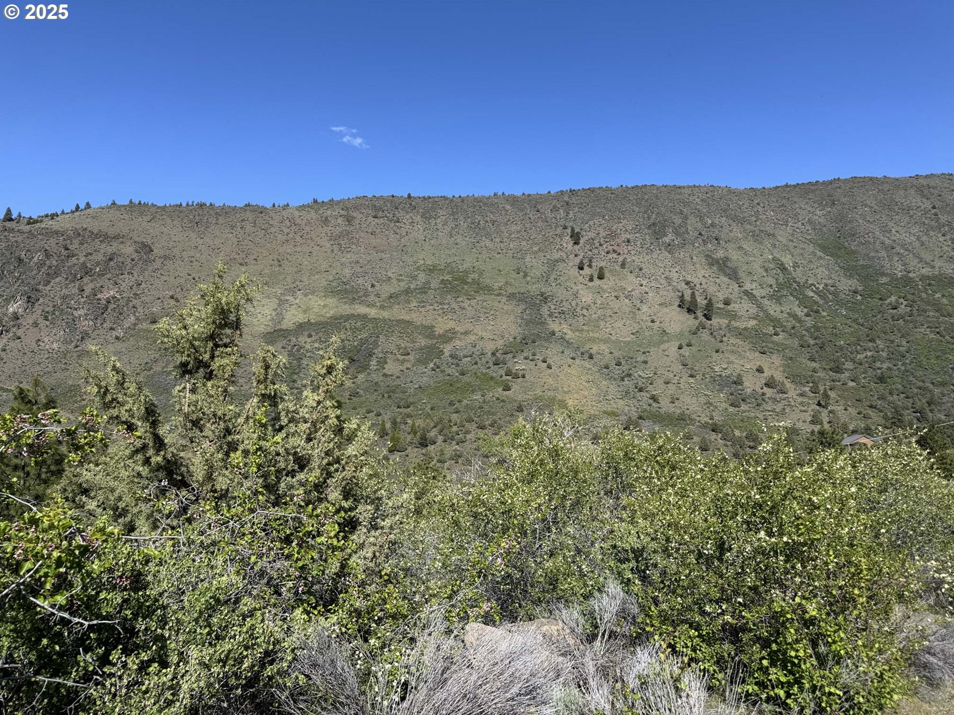 Troubador Trail Klamath Falls, OR 97601 - Photo 7 of 42 a view of a mountain