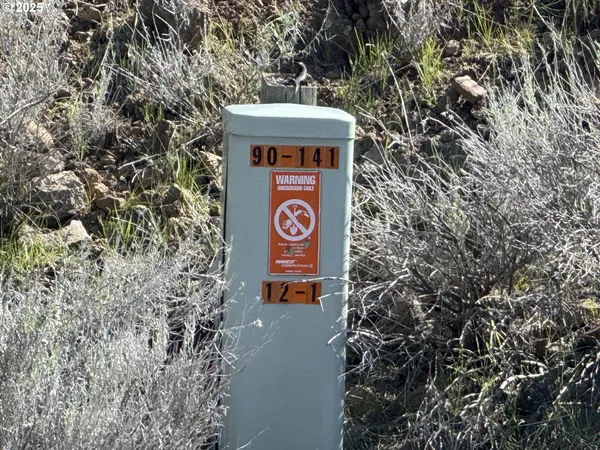 a view of a dry yard with mountains in the background