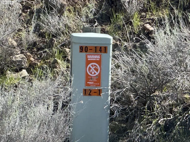 a view of a dry yard with mountains in the background