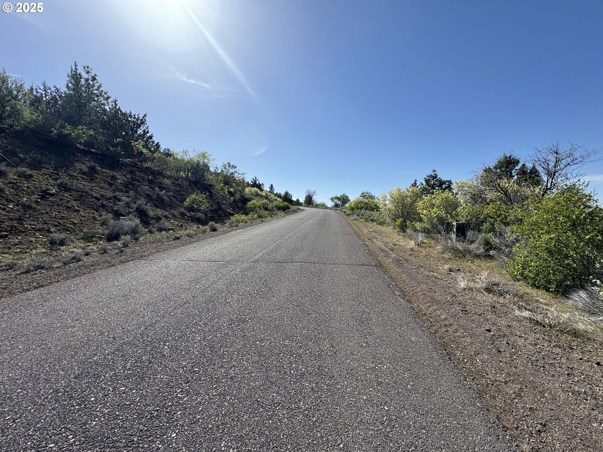 Troubador Trail Klamath Falls, OR 97601 - Photo 10 of 42 a view of a road with plants and a large tree