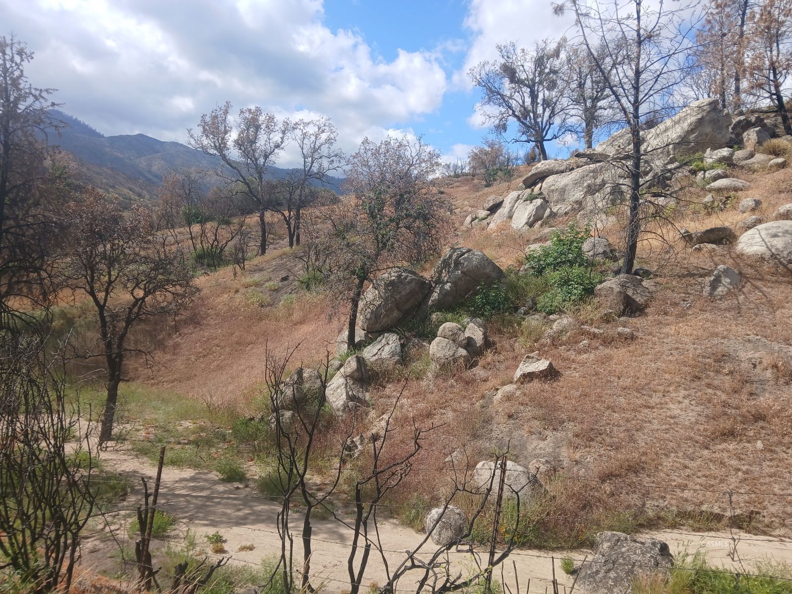 Kendall Road Caliente, CA 93518 - Photo 3 of 11