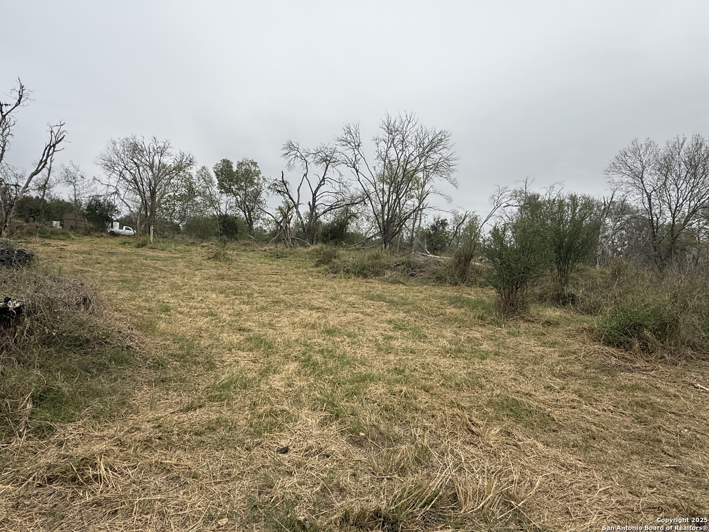 Tbd Gidley Atascosa, TX 78002 - Photo 12 of 21 a view of a field with trees in background