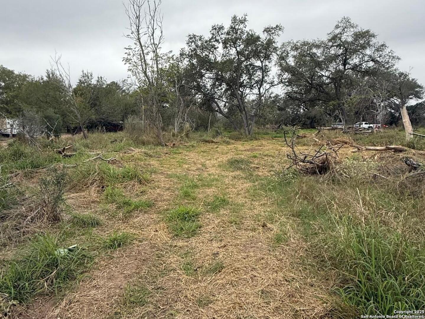 Tbd Gidley Atascosa, TX 78002 - Photo 13 of 21 a view of a field with trees in the background
