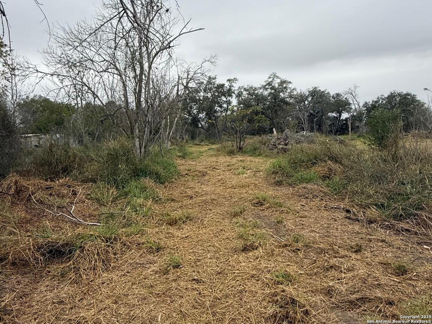 Tbd Gidley Atascosa, TX 78002 - Photo 15 of 21 a view of a forest with trees in the background