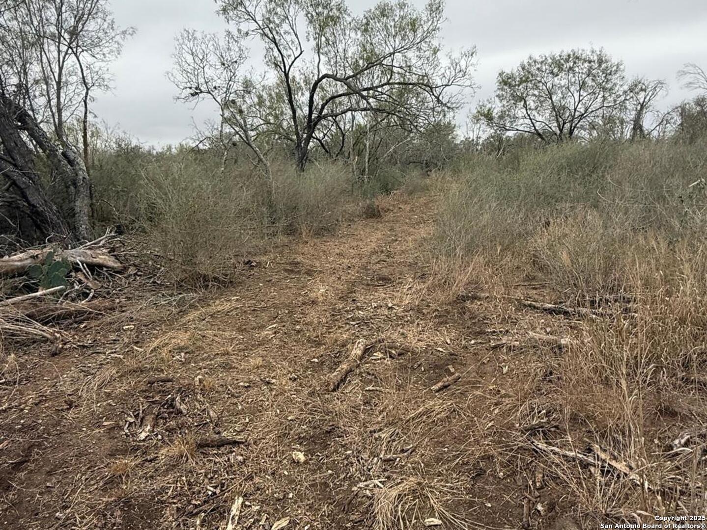 Tbd Gidley Atascosa, TX 78002 - Photo 17 of 21 a view of a lake with a mountain