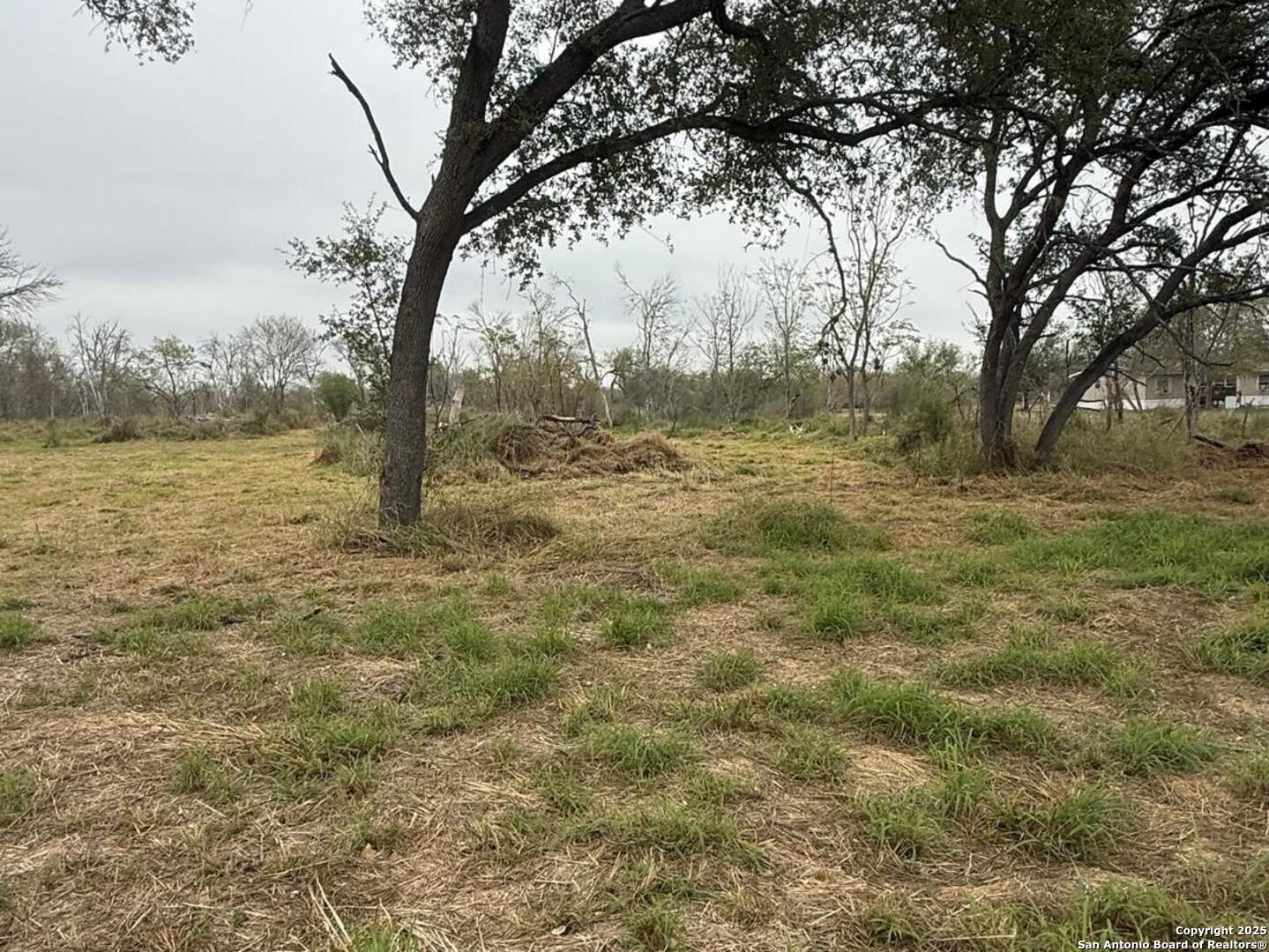 Tbd Gidley Atascosa, TX 78002 - Photo 10 of 21 a view of a yard with a tree