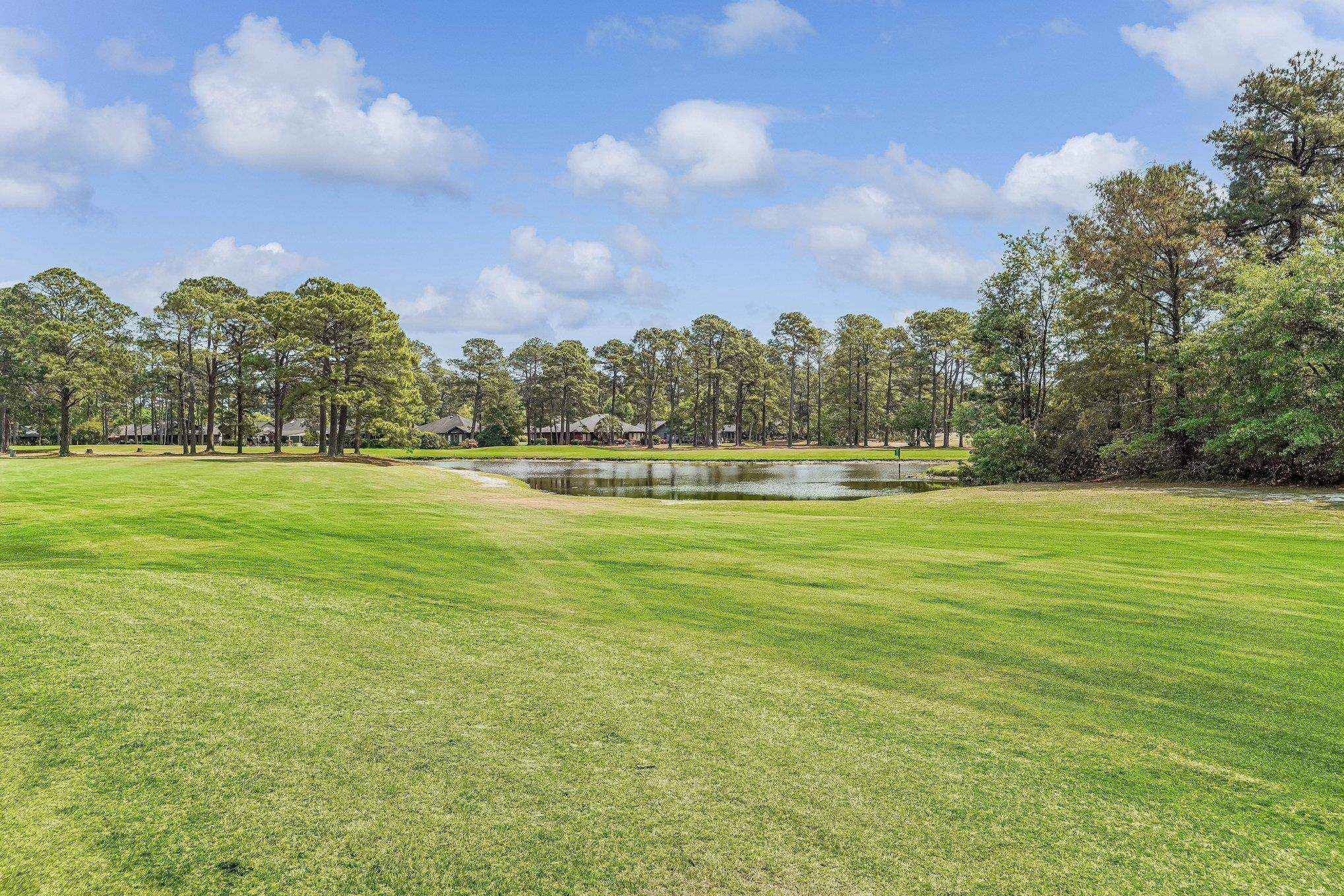 103 Hickory Drive Conway, SC 29526 - Photo 28 of 33