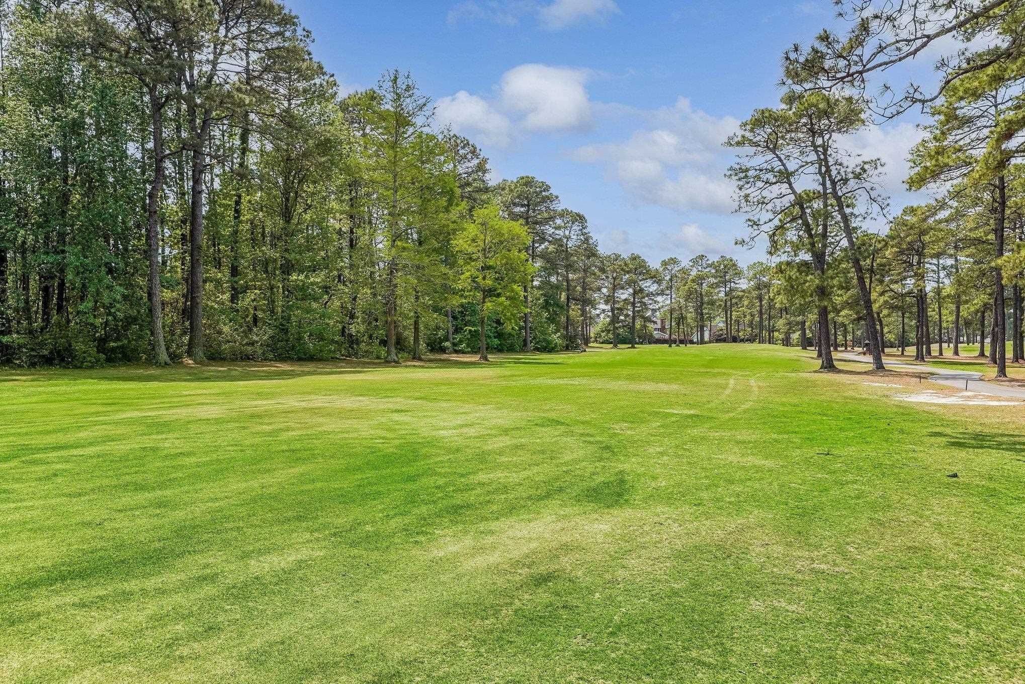 103 Hickory Drive Conway, SC 29526 - Photo 29 of 33