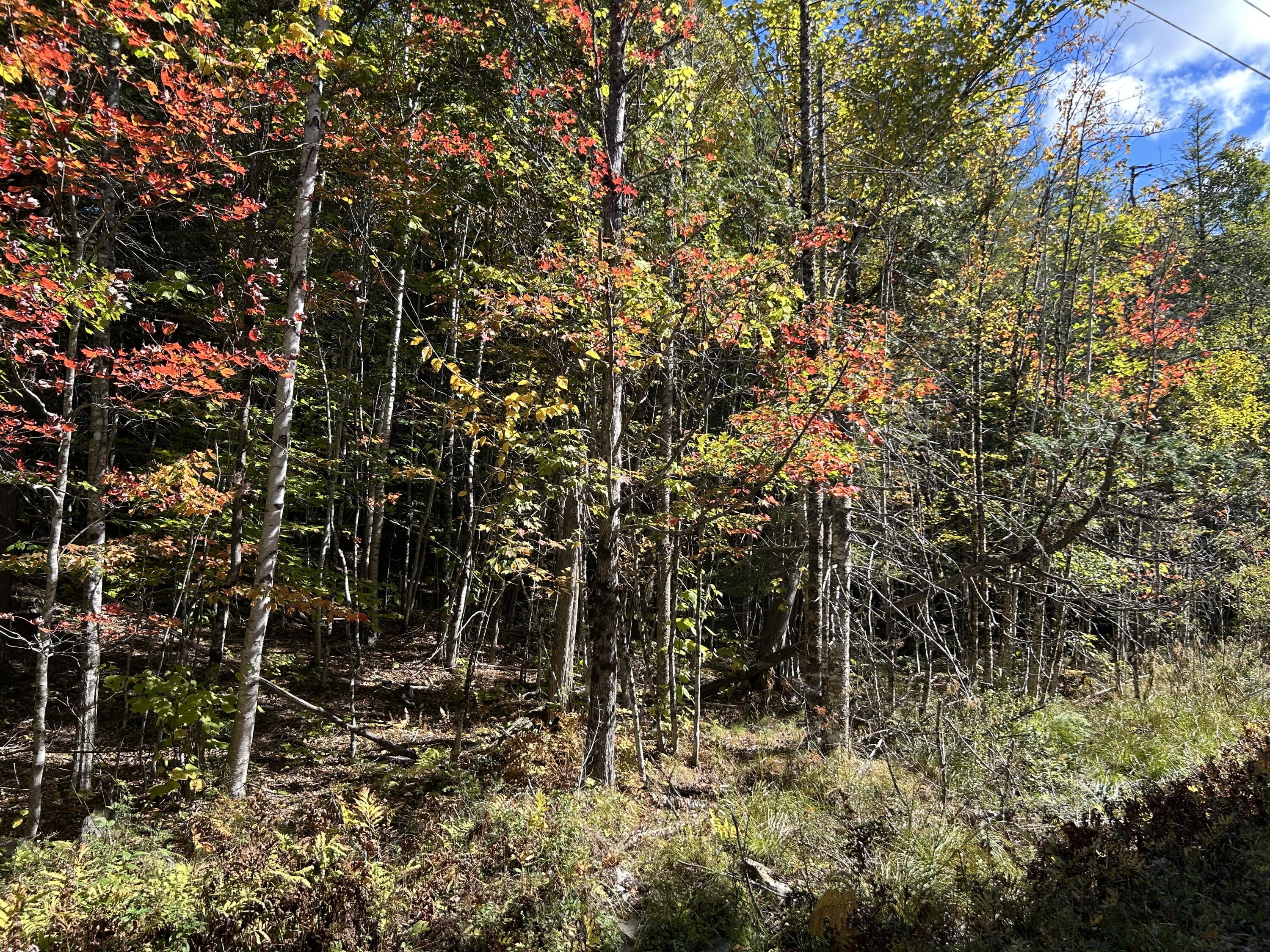 M6-l16-12-3 Beaver Brook Road Dover-Foxcroft, ME 04426 - Photo 8 of 11 IMG_1226