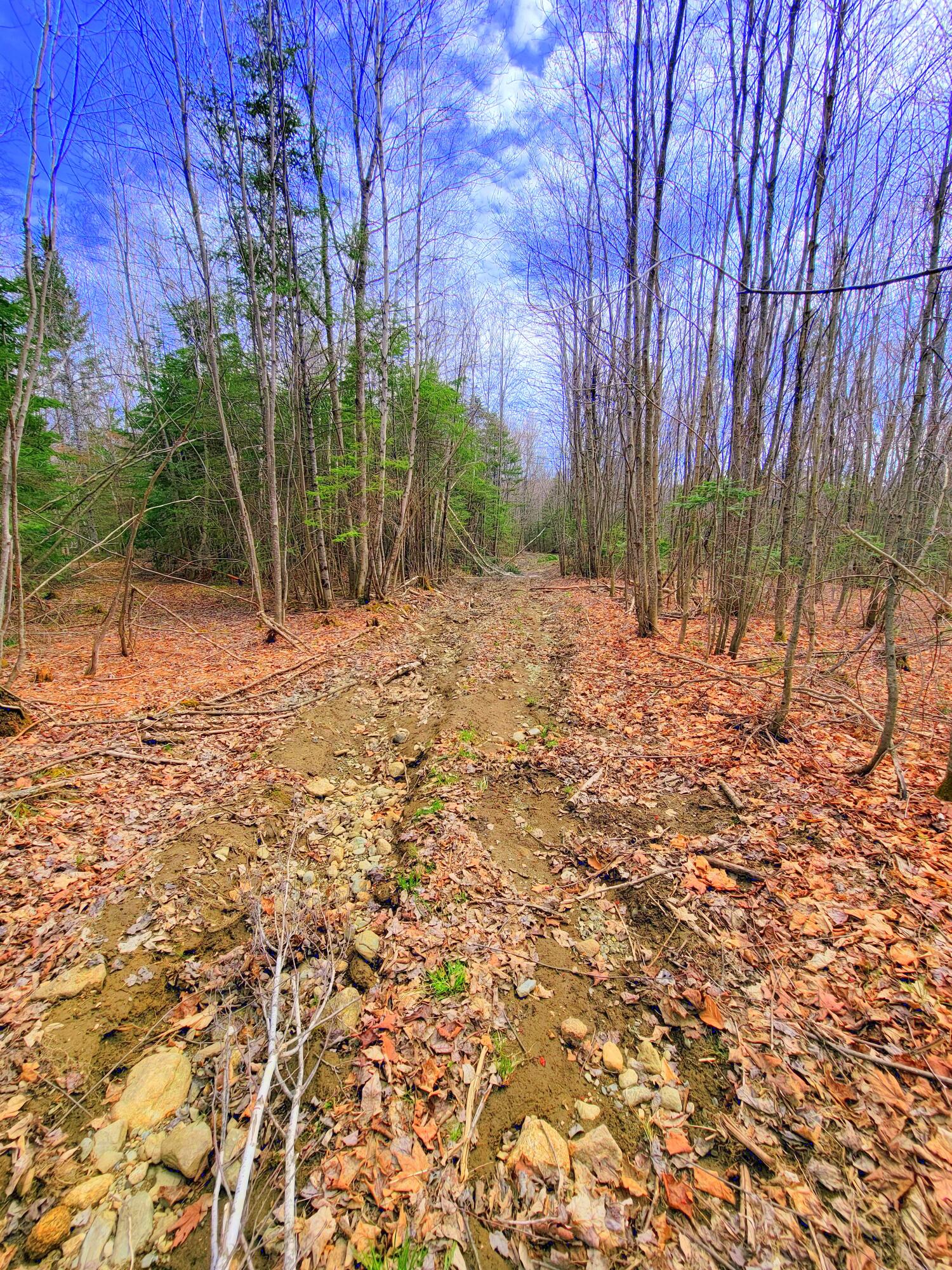 181 Brown Road Farmington, ME 04938 - Photo 8 of 110 Logging trails
