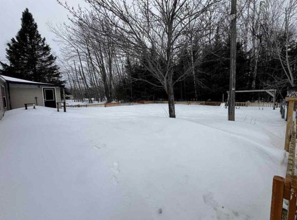 2288 Riggsville Road Cheboygan, MI 49721 - Photo 4 of 6 Paragon 5 3