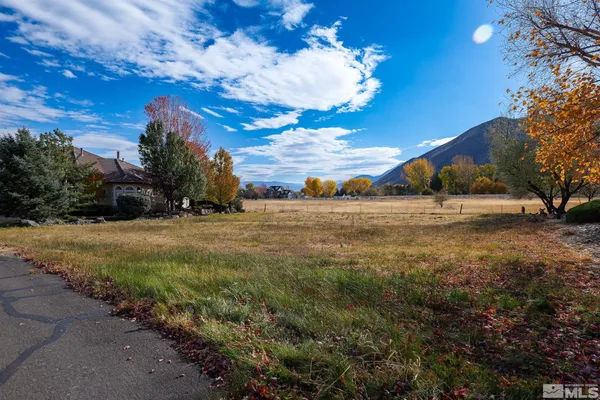 a view of yard with large tree