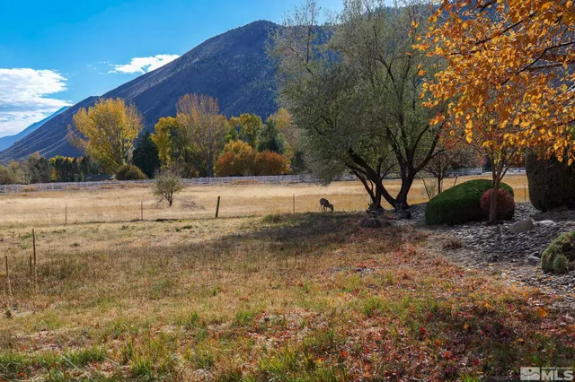 a view of a yard with wooden fence