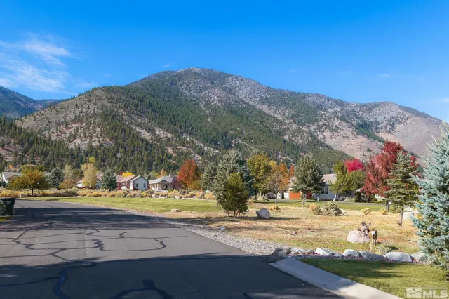 a view of a yard with mountains in the background