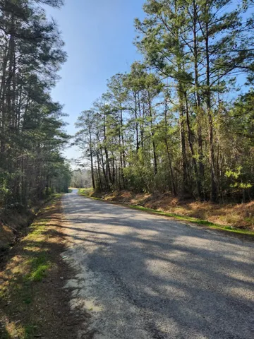 a view of a yard with large trees