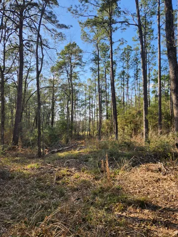 $75,000 | 1038 Counts Road, Point Blank, TX 77364