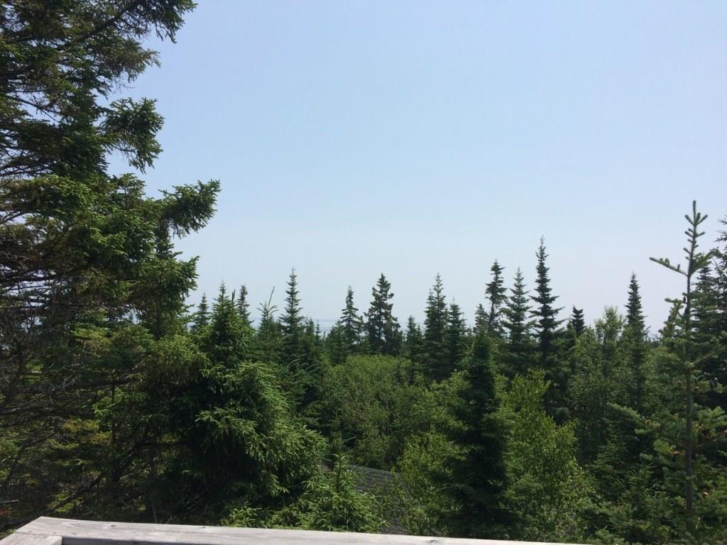 122 Havenhurst Road Lubec, ME 04652 - Photo 8 of 34 Photo