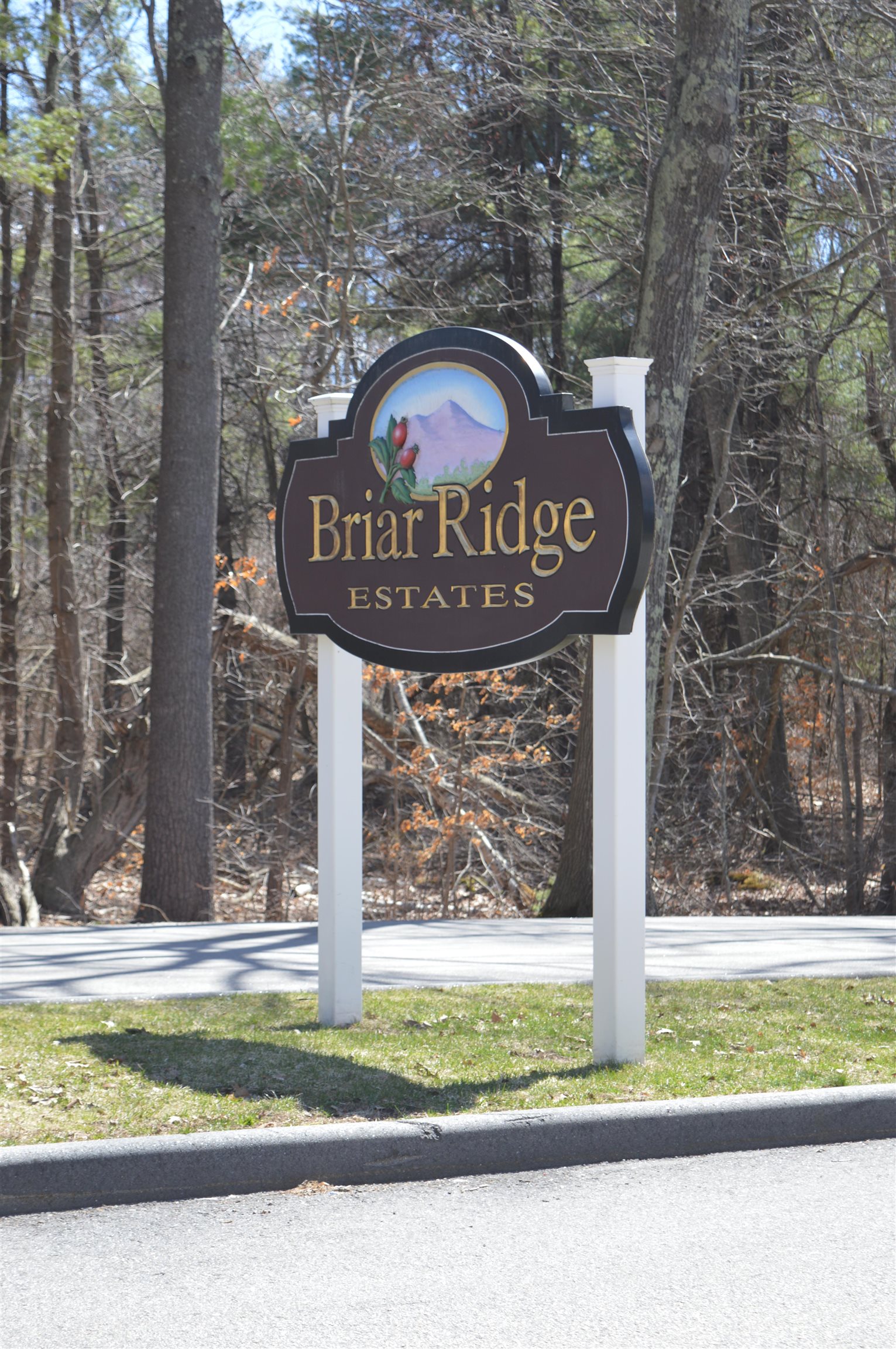 15 South Cranberry Rochester, NH 03867 - Photo 2 of 35