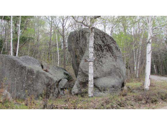 263 Tin Mine Road Jackson, NH 03846 - Photo 14 of 18