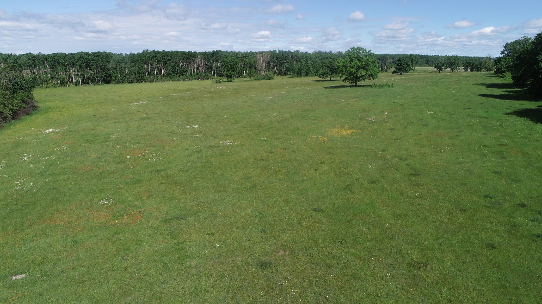6172 76th Street Southwest Motley, MN 56466 - Photo 10 of 23