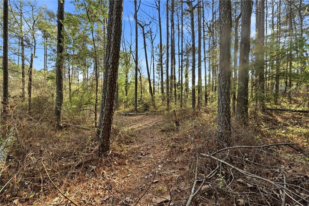 2452 Camp Mitchell Road Grayson, GA 30017 - Photo 75 of 83