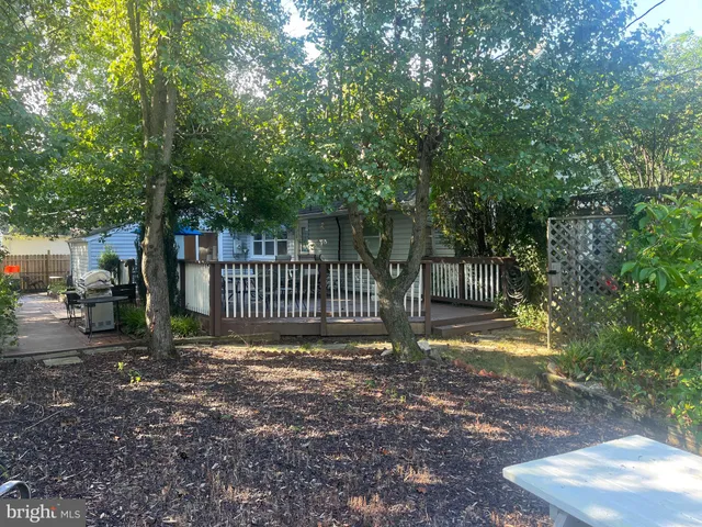 a view of a yard with large trees and a small barn