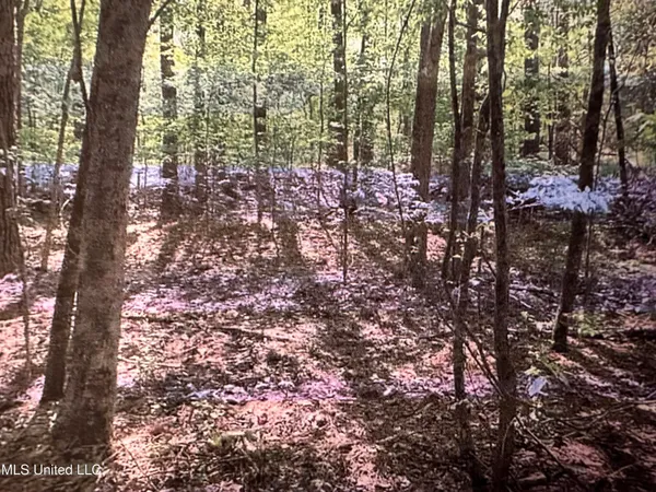 $23,000 | Stigler Rosa Drive, Florence, MS 39073
