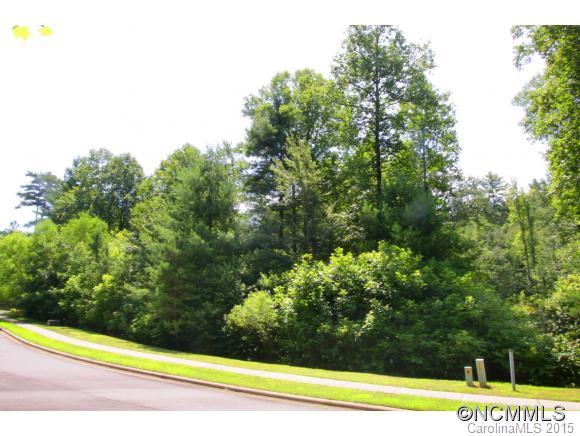 M149 Camptown Road Brevard, NC 28712 - Photo 1 of 24 Gallery Image 1