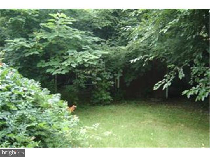 138 Thomas Avenue Maple Shade, NJ 08052 - Photo 19 of 21 Back Yard