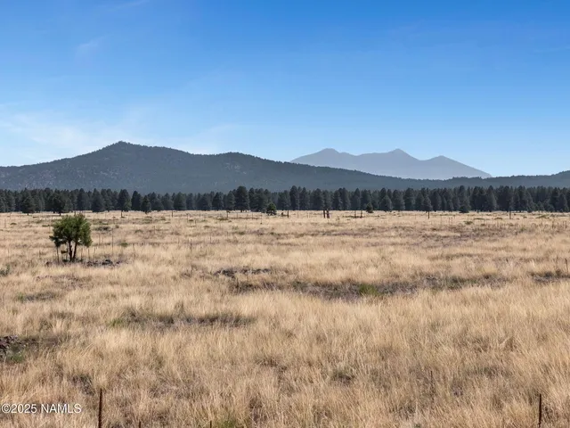 $260,000 | 13373 Dog Haven Place, Parks, AZ 86005