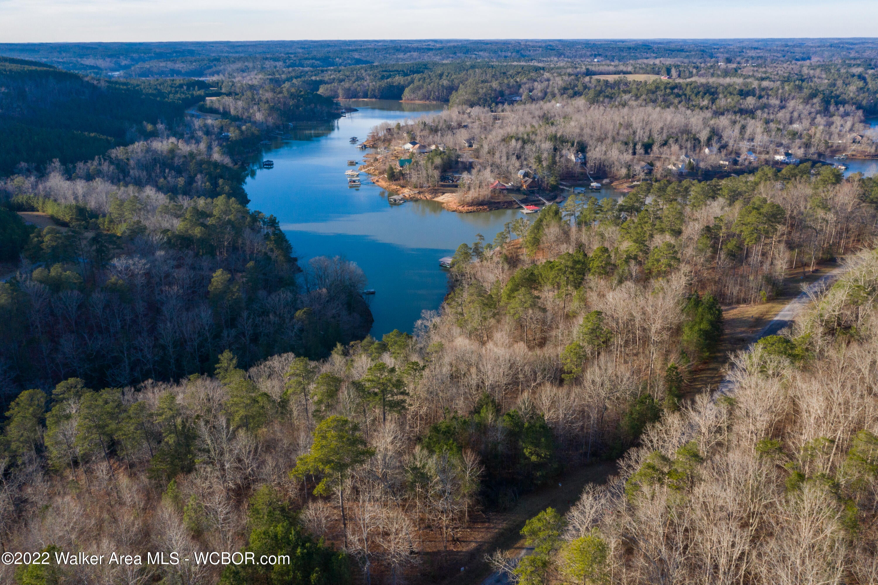 Lot 111 Sipsey Overlook Road Houston, AL 35572 - Photo 6 of 14 Gallery Image 6