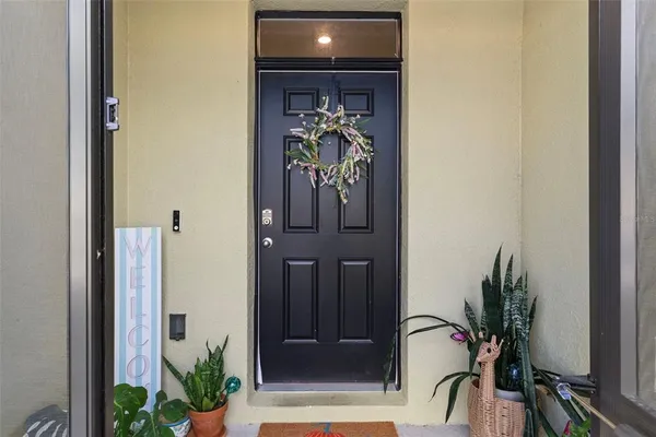 a view of a hallway with a potted plant